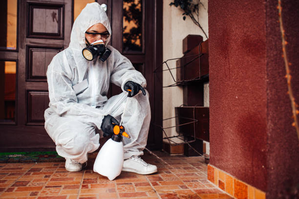 Reliable Bed Bug Control contractor in Culver City, CA by Nex Pest Control