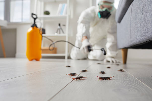 Trusted Fumigation Services service in Culver City, CA - Nex Pest Control