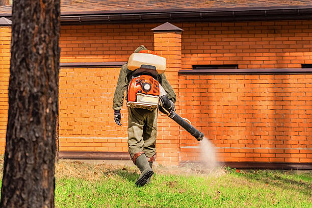 Trusted Cockroach Control service in Culver City, CA - Nex Pest Control